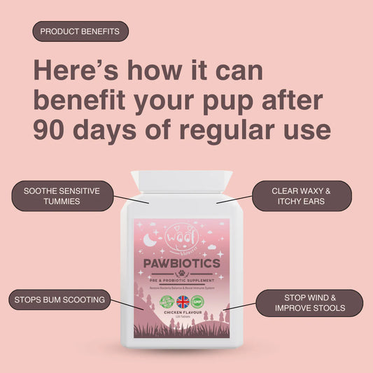 Pre & Probiotics: Balance Gut Health & Boost Immunity (120 tablets)