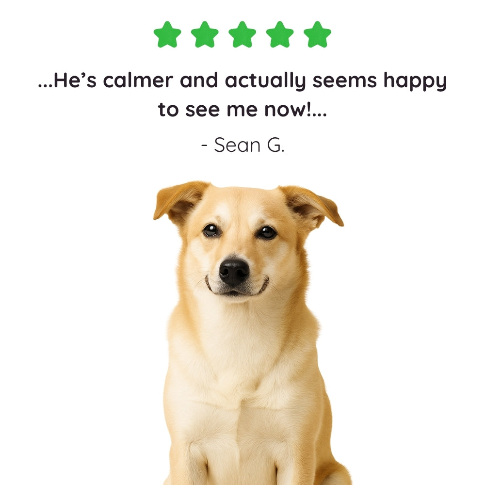 Calming Soft Chews for Dogs – Non-Drowsy, Vet-Formulated (60 Chews)