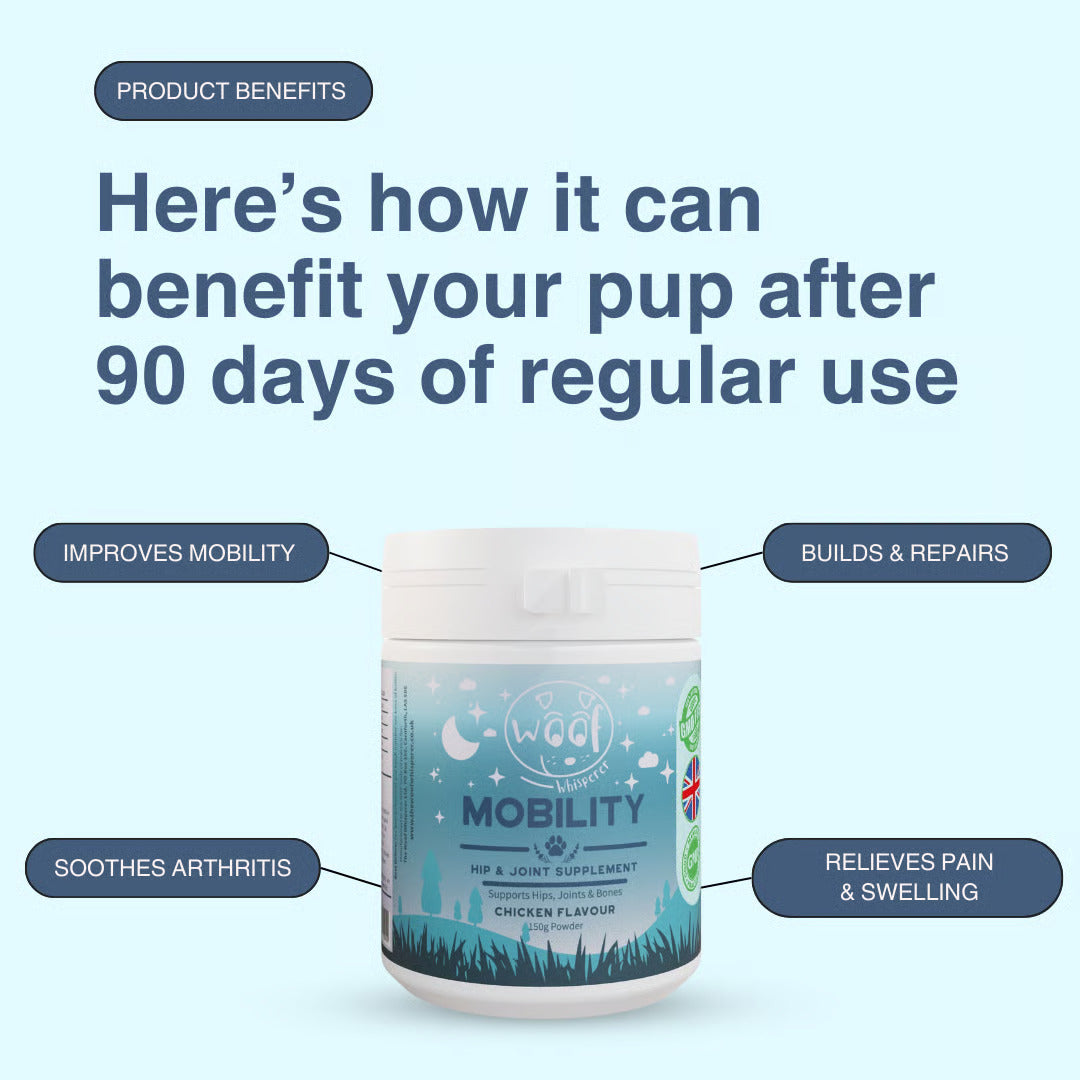 MOBILITY - Hip & Joint Dog Supplement