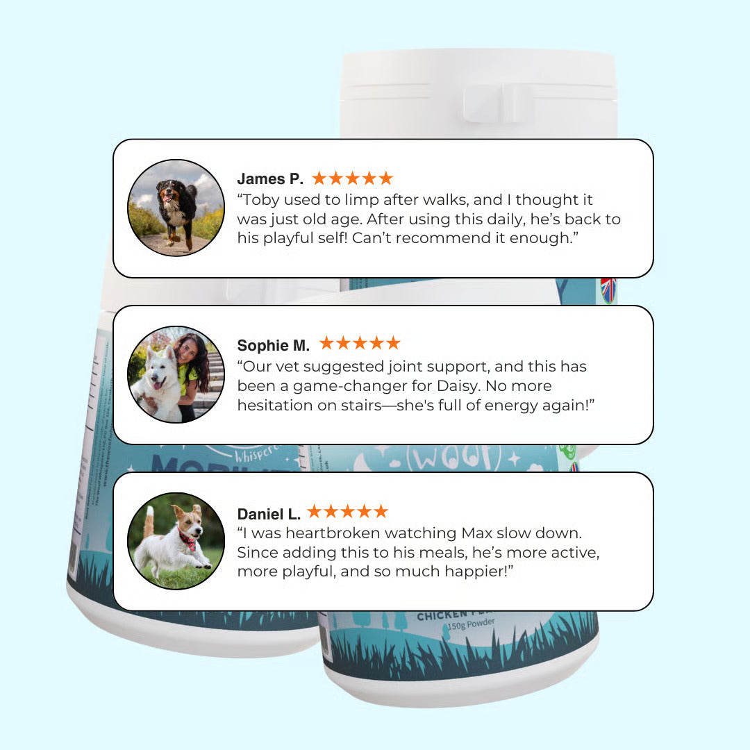 MOBILITY - Hip & Joint Dog Supplement