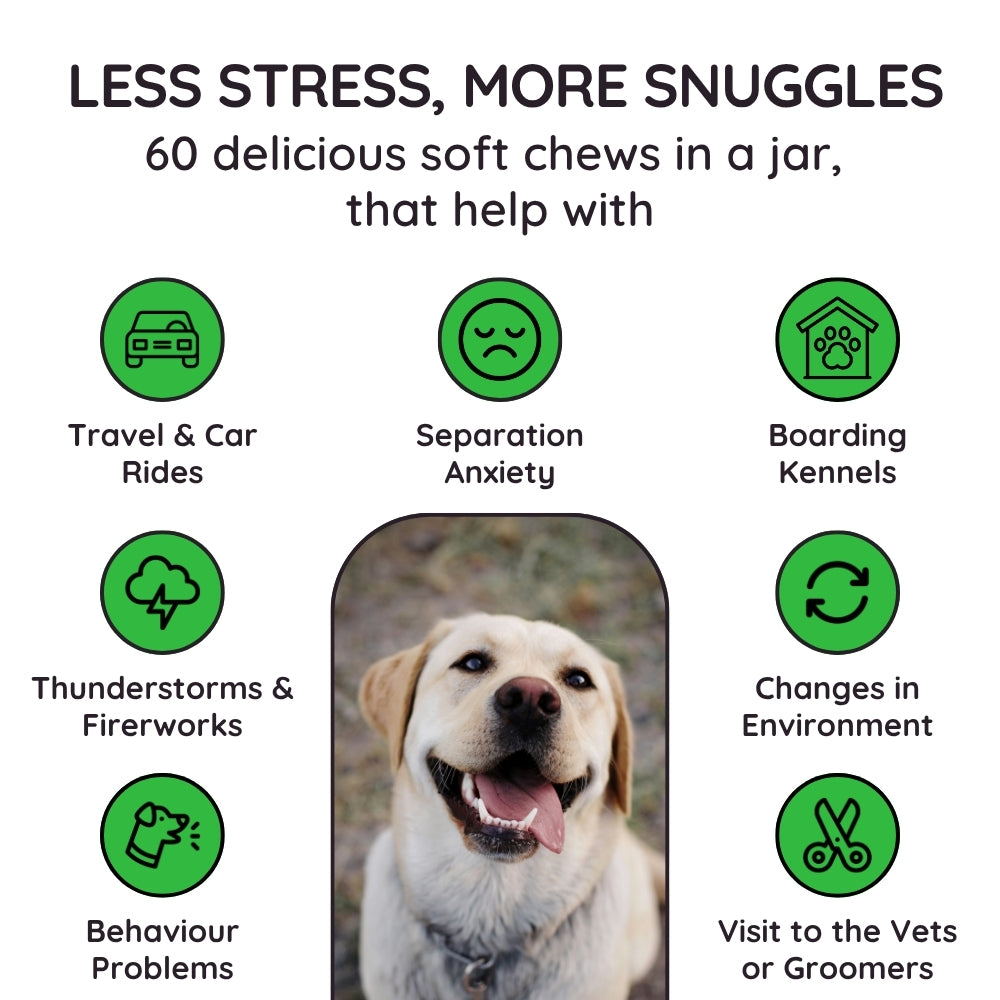 Calming Soft Chews for Dogs – Non-Drowsy, Vet-Formulated (60 Chews)