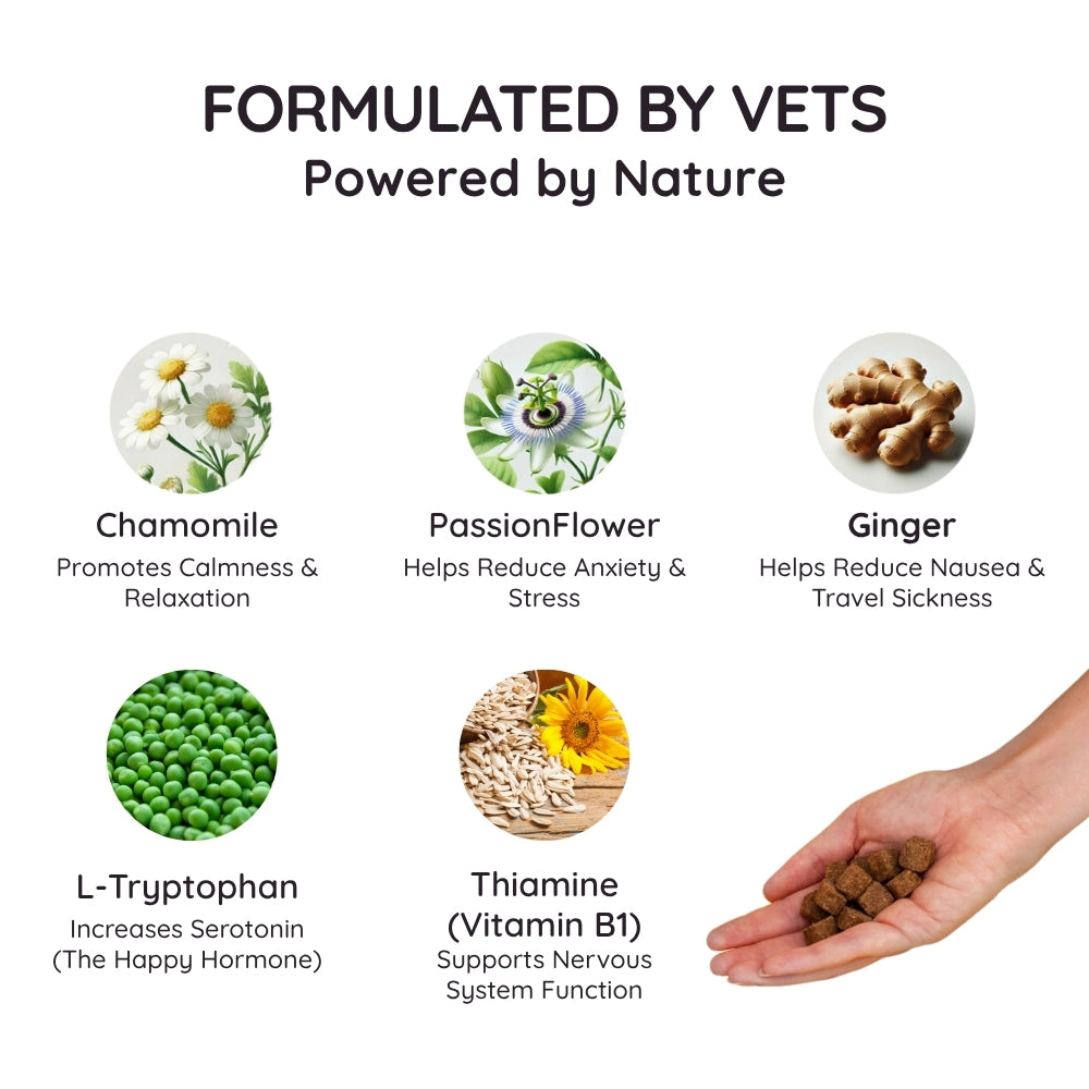 Calming Soft Chews for Dogs – Non-Drowsy, Vet-Formulated (60 Chews)