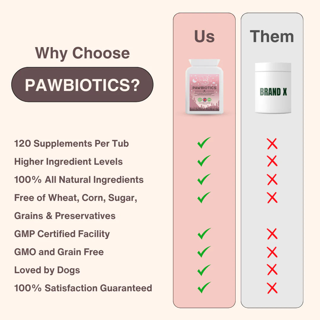 Pre & Probiotics: Balance Gut Health & Boost Immunity (120 tablets)