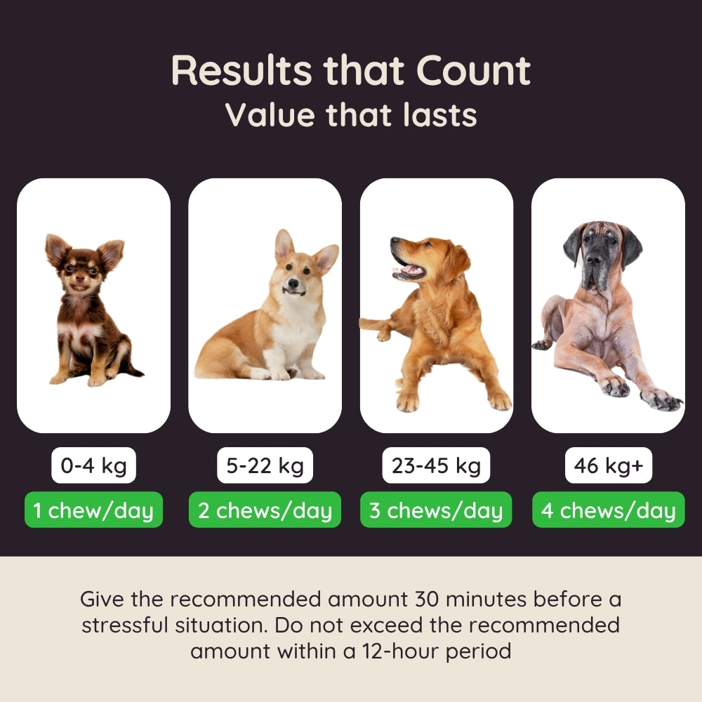 Calming Soft Chews for Dogs – Non-Drowsy, Vet-Formulated (60 Chews)