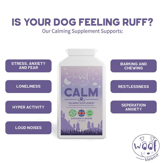 CALM - Anxious, Reactive or Hyperactive Dog Supplement