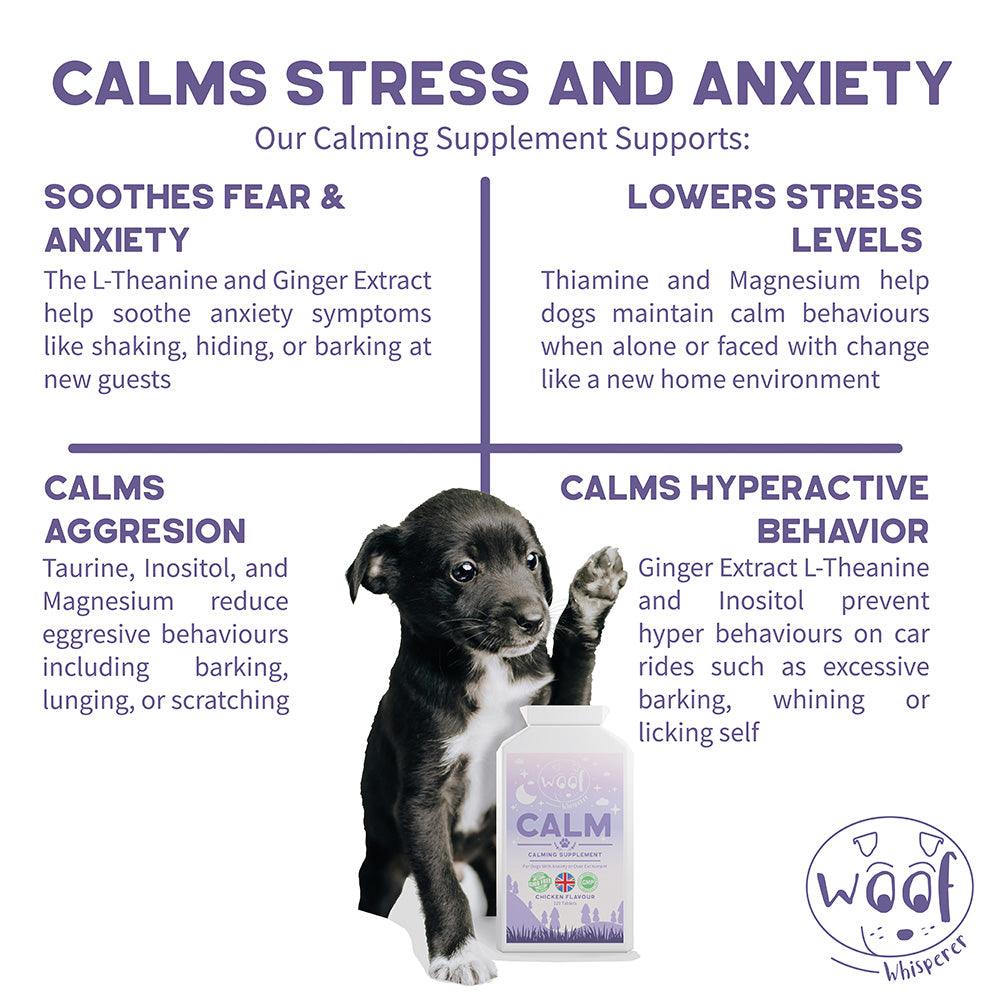 CALM - Anxious, Reactive or Hyperactive Dog Supplement