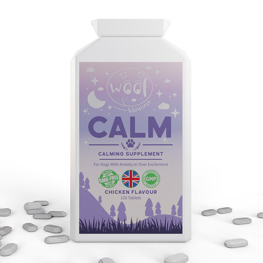 Calm Supplements for Anxious & Hyperactive Dogs