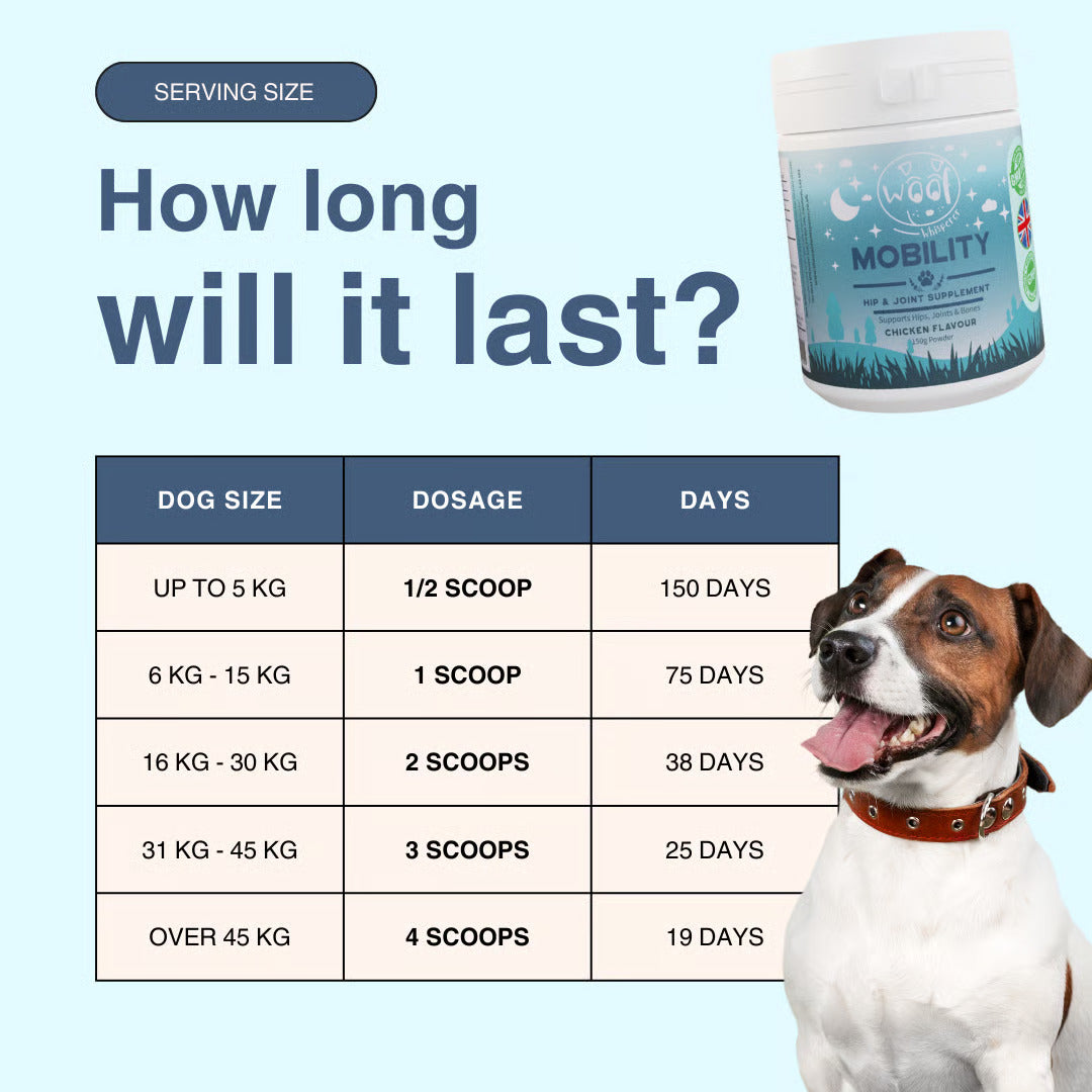 MOBILITY - Hip & Joint Dog Supplement