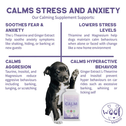 Calm Supplements for Anxious & Hyperactive Dogs