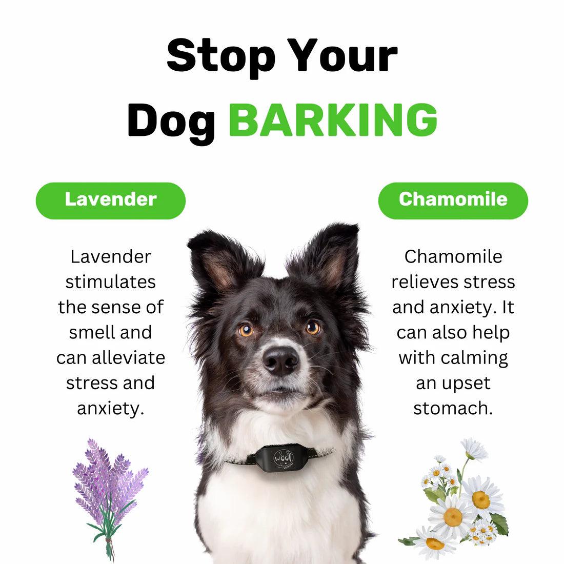 1000 Natural Treats to reduce your dog's Anxiety, Stress & Fear
