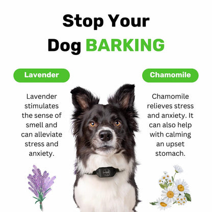 1000 Natural Treats to reduce your dog's Anxiety, Stress & Fear