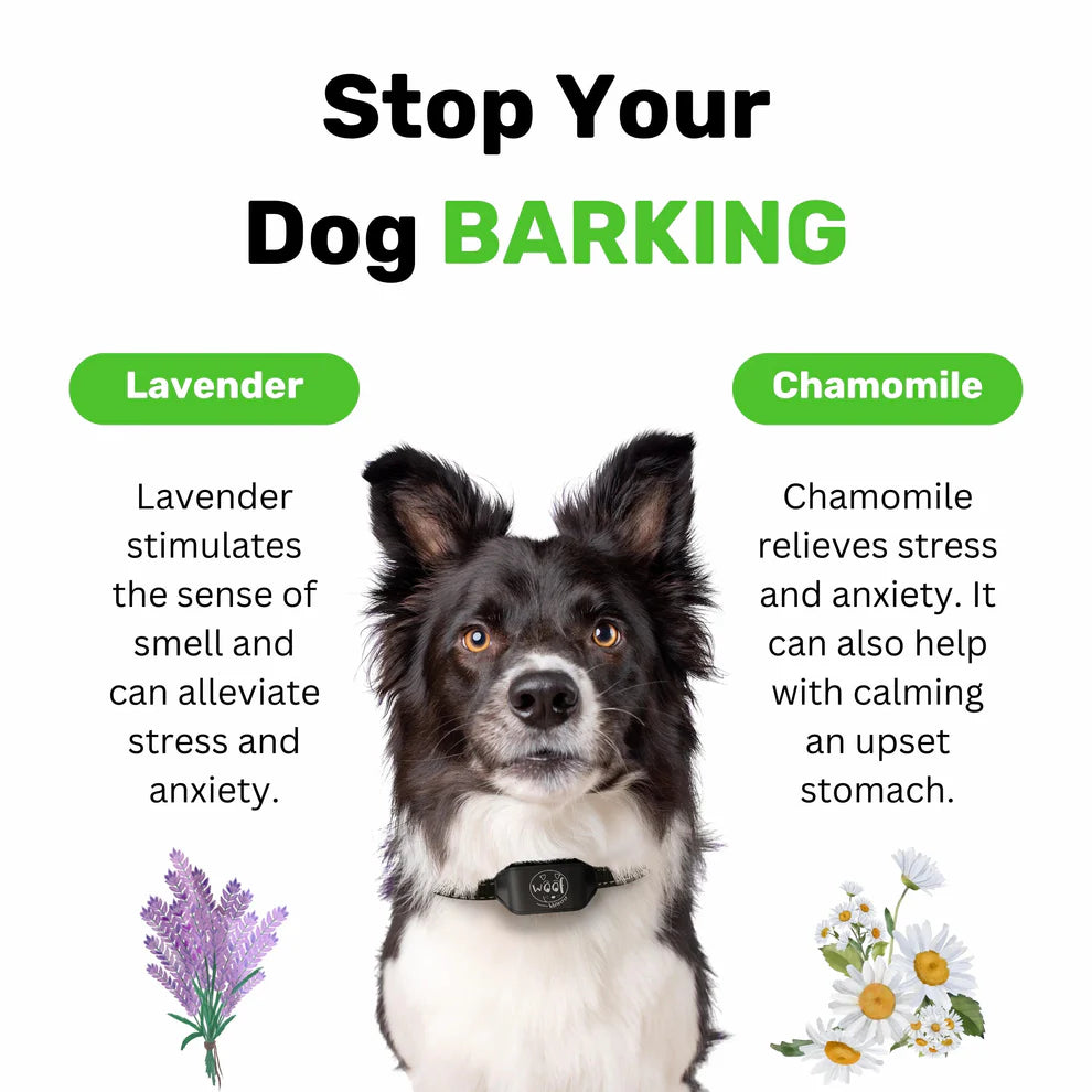 No Shock, Stop Barking Bundle