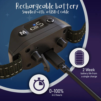 Small dog training collar deals