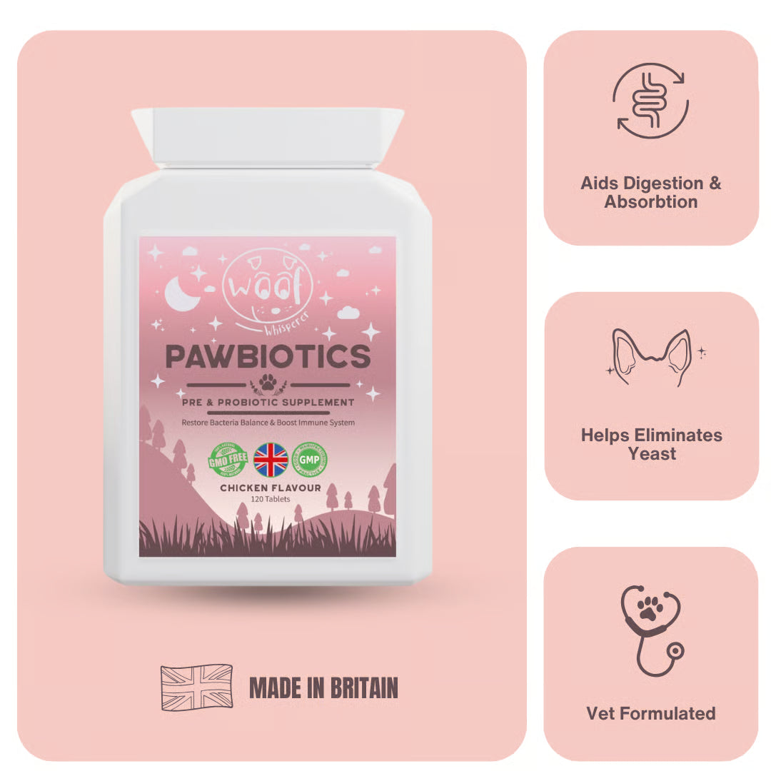Pre & Probiotics: Balance Gut Health & Boost Immunity (120 tablets)