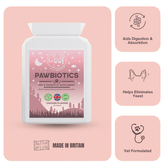 Pre & Probiotics: Balance Gut Health & Boost Immunity (120 tablets)