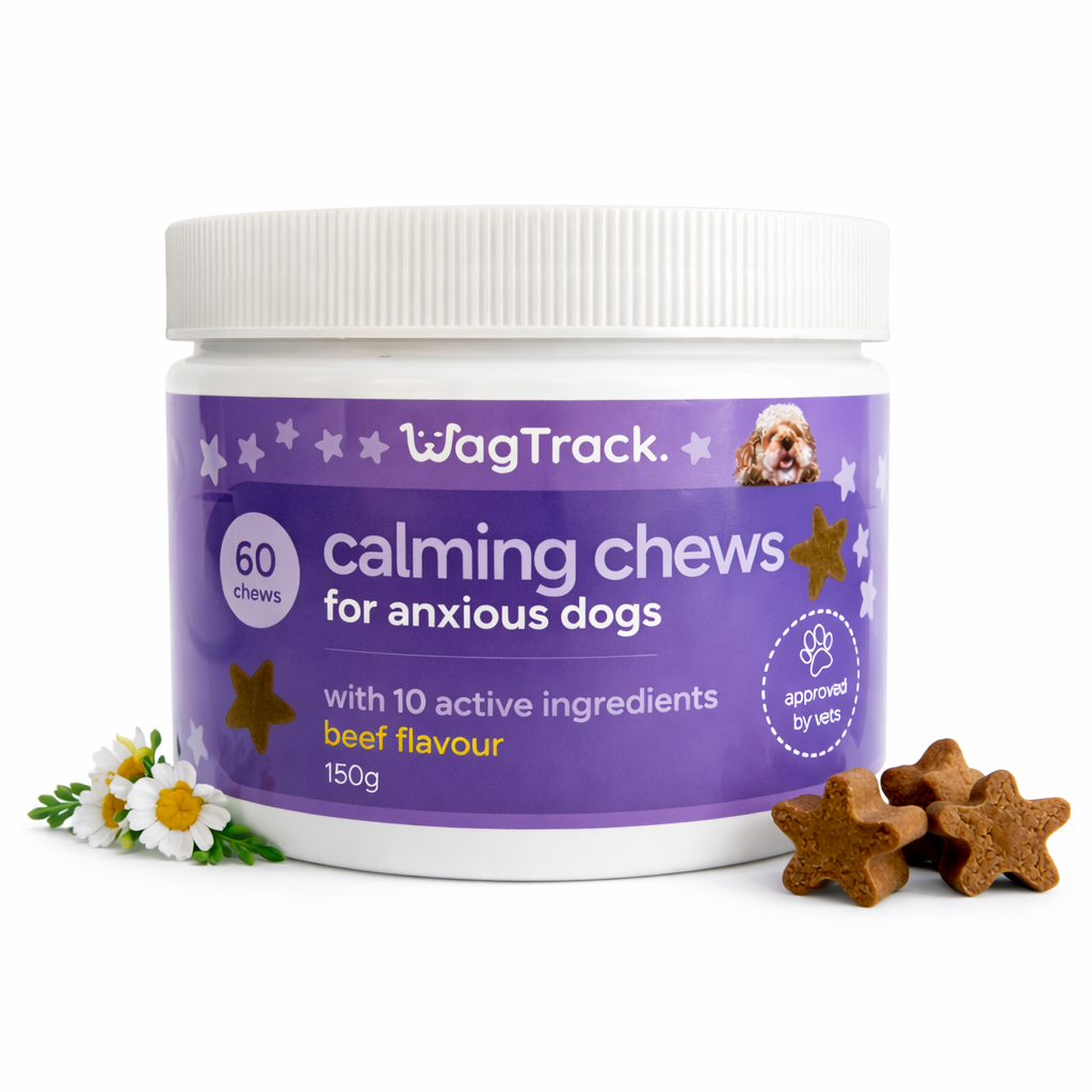 Calming Soft Chews for Dogs – Non-Drowsy, Vet-Formulated